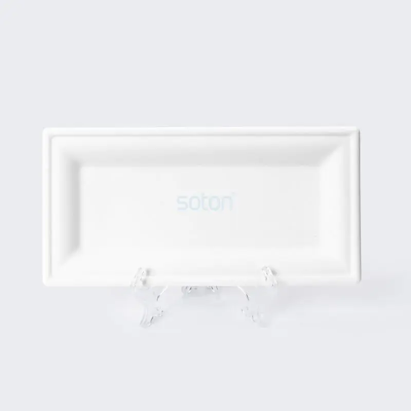 Disposable Biodegradable Sugarcane Bagasse Square Plate
