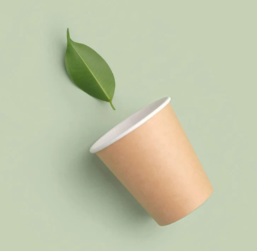 Disposable Paper Cups