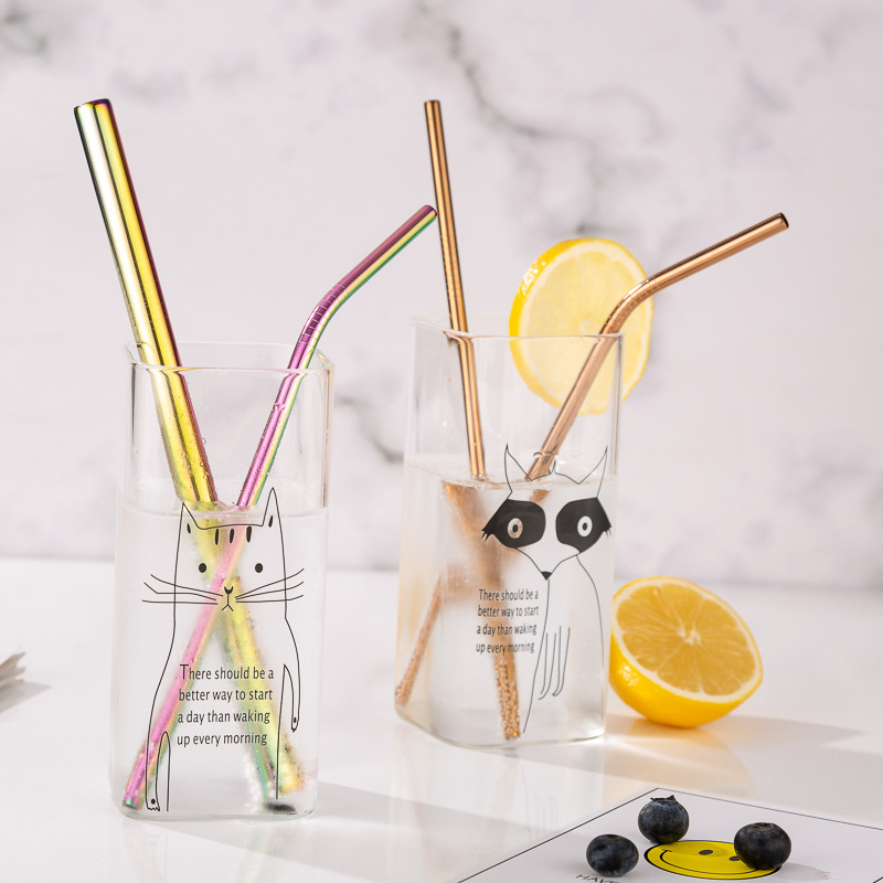 Reusable Stainless Steel Straws