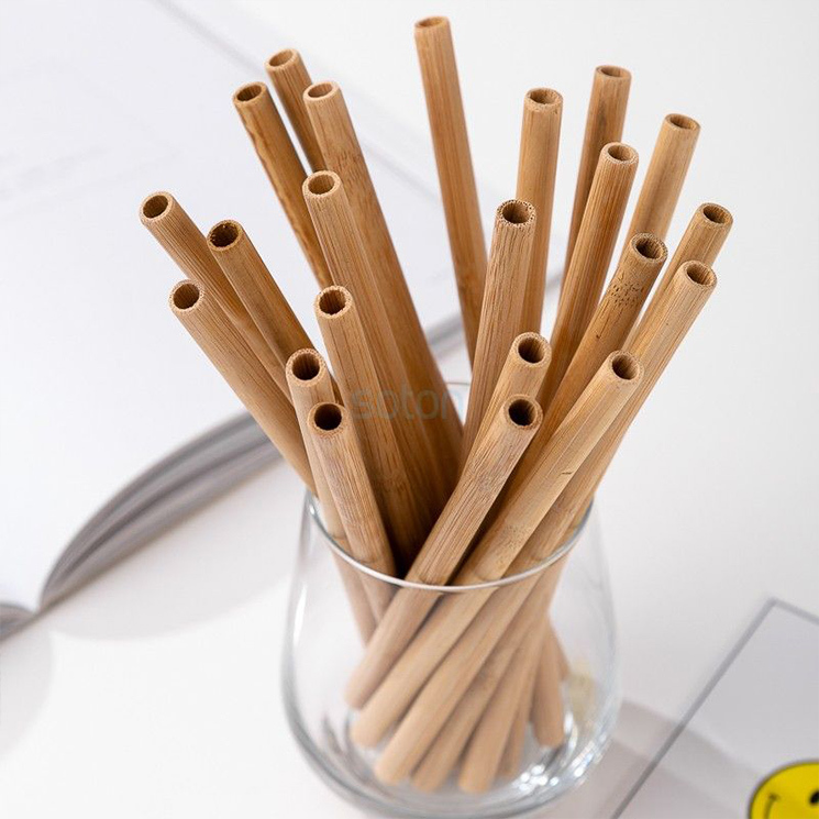 Reusable Bamboo Straw
