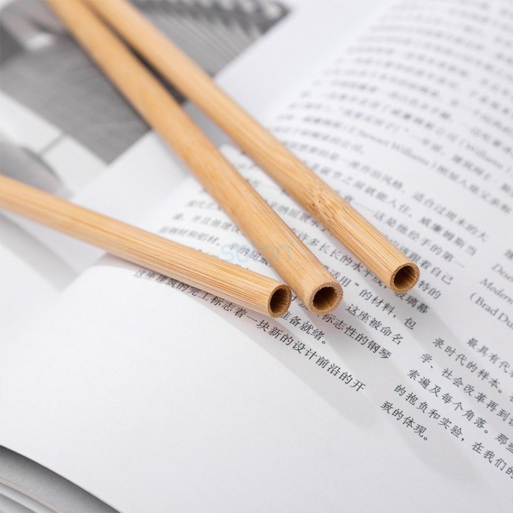Reusable Bamboo Straw
