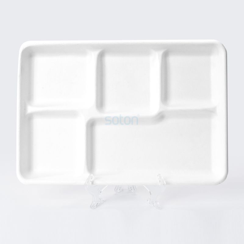 Sugarcane Bagasse Tableware