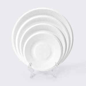 Sugarcane Bagasse Tableware