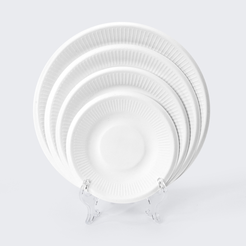 Sugarcane Bagasse Tableware