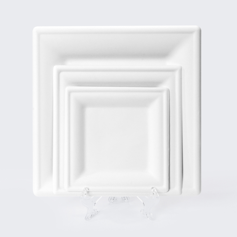 Sugarcane Bagasse Tableware