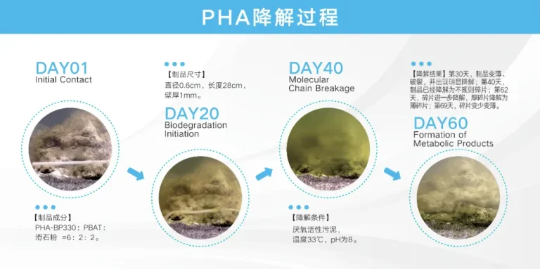 Shuangtong PHA Biodegradable Straws: A Sustainable Alternative to Plastic Straws