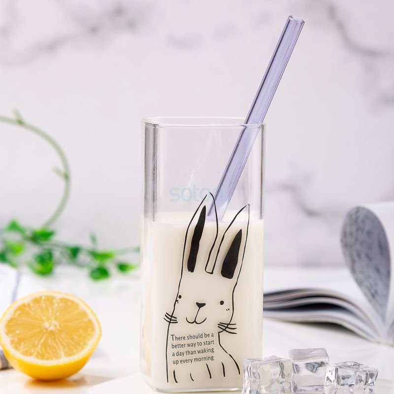 Reusable Glass Straight Drinking Straws