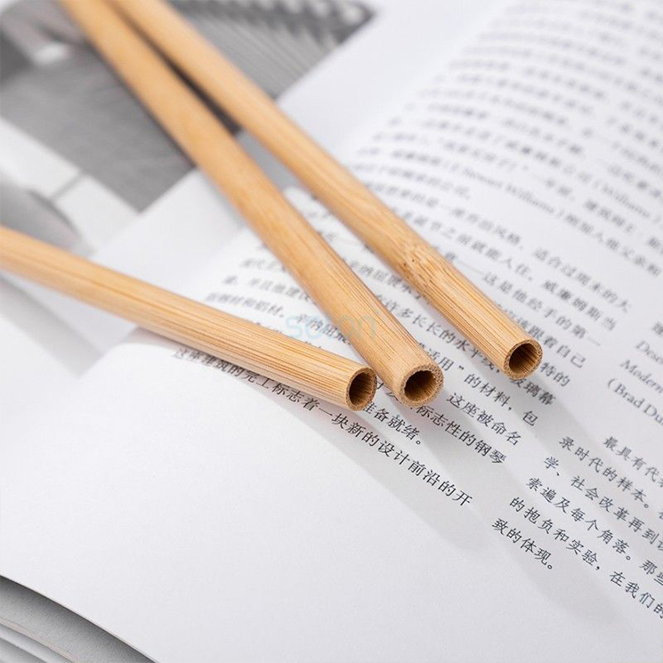 Reusable plant bamboo straw with brush