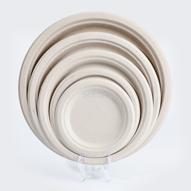 Eco-Friendly Biodegradable Wheat Straws Food Tray Box
