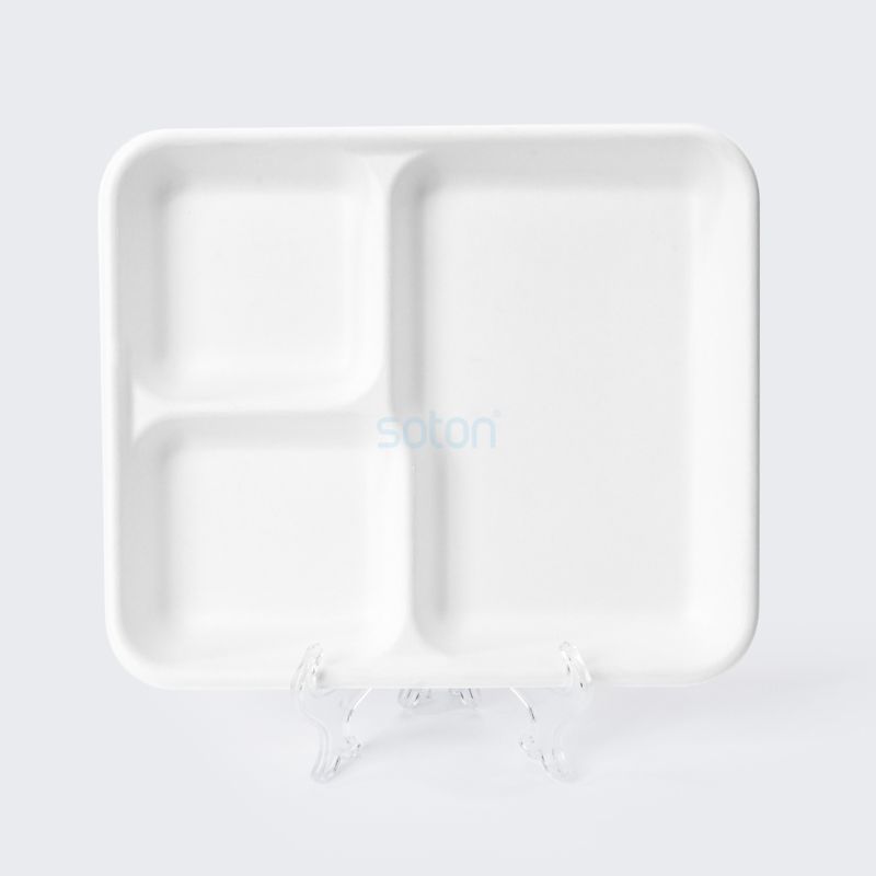 Sugarcane Bagasse Tableware