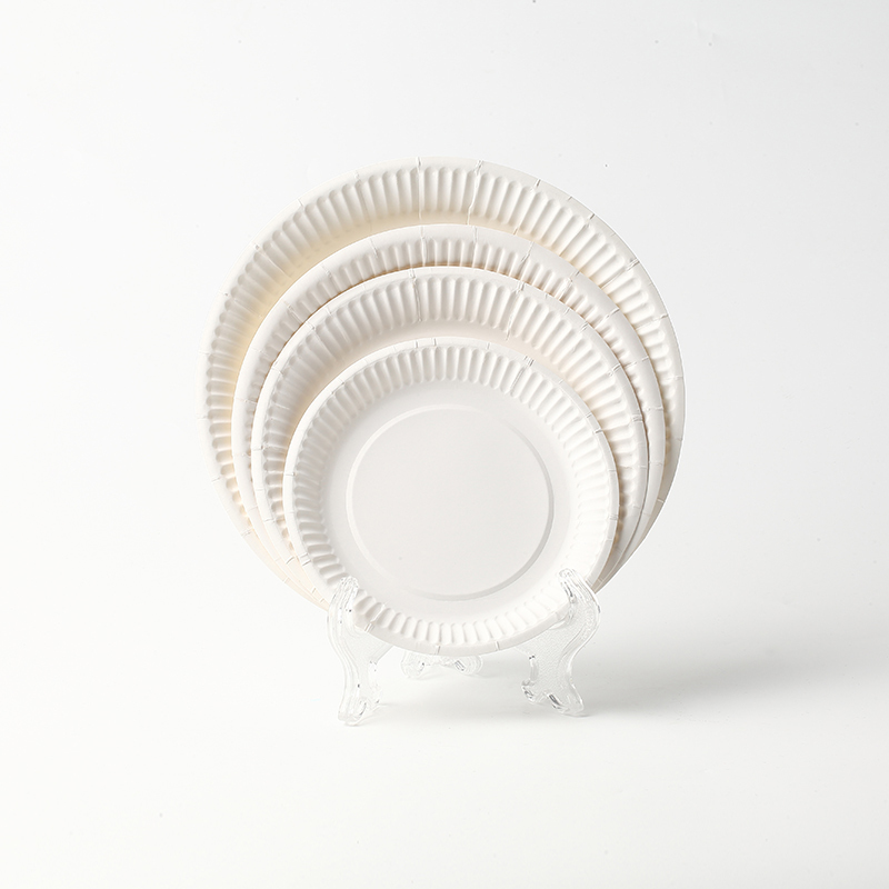 Disposable Paper Plate