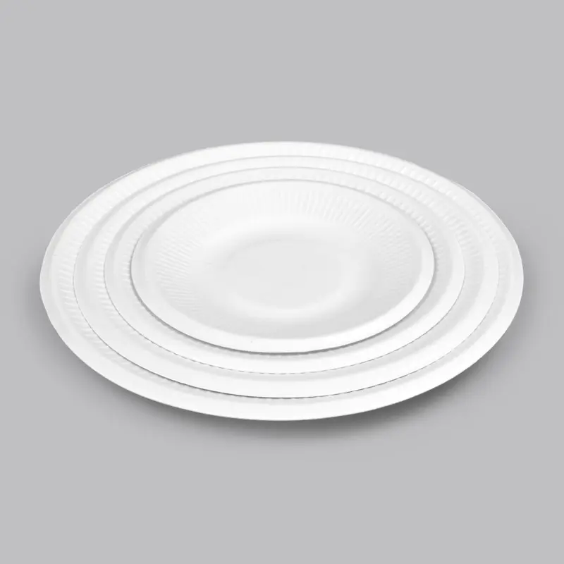 Disposable Biodegradable Sugarcane Bagasse Dish 5''/6''/7''/8''