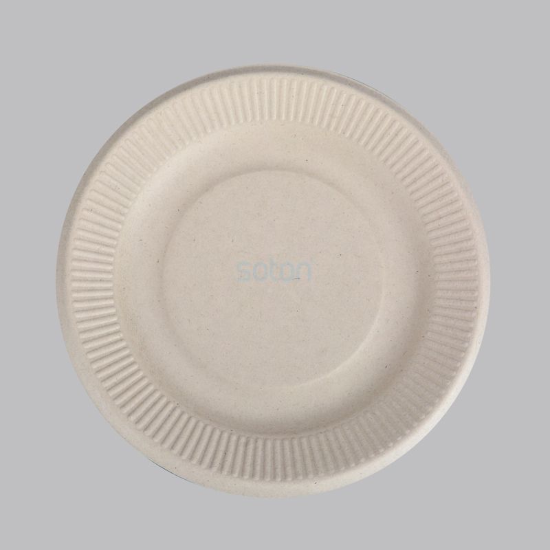 Eco-Friendly Biodegradable Wheat Straws Food Tray Box